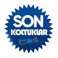 Msa Sticker by msatour