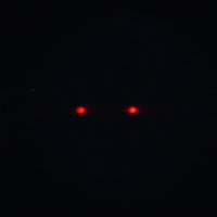 Halloween Glow GIF by Erica Anderson