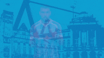 Football Tor GIF by ChemnitzerFC