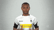 football love GIF by Bundesliga