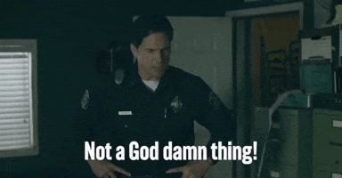 Not a God Damn Thing