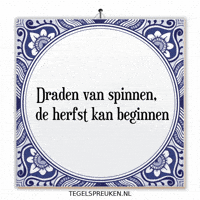 Humor Nl GIF by Tegelspreuken.nl