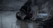 film drinking GIF by Tech Noir