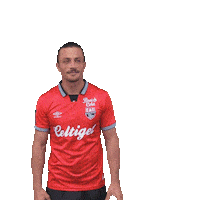 Football Footy Sticker by EA Guingamp