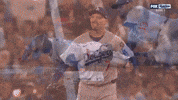 Blue Jays Fox GIF