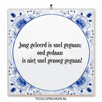 Humor Wijsheid GIF by Tegelspreuken.nl
