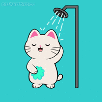 Happy Cat GIF by Silly Kitties