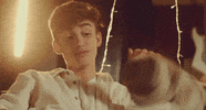 Dog Christmas GIF by Johnny Orlando