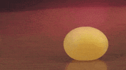 cool science GIF by Diply