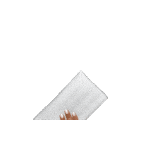 Cruelty Free Love Sticker by K Ferrara Color