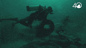 Environment Osborne GIF by 4ocean