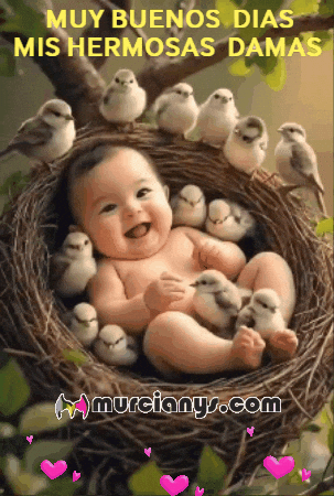 Muy Buenos Dias Feliz GIF by Murcianys LLC