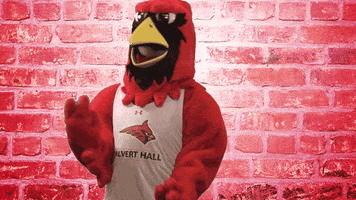The Hall Dancing GIF by Calvert Hall College High School
