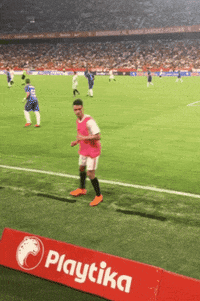 la liga soccer GIF by Sevilla Fútbol Club