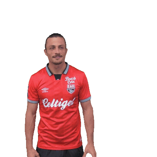 Football Footy Sticker by EA Guingamp