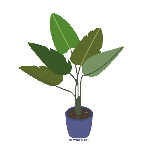 hoyabackgirl illustration nature green plant Sticker