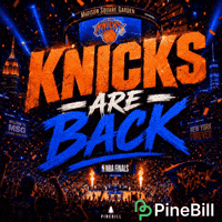New York Basketball GIF by PineBill