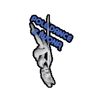 sparrow_sport_club pole dance sparrow sparrowsportclub Sticker
