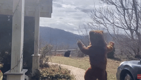 yj_jane giphyupload GIF