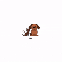 sesamall friends pet friend best friend GIF