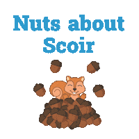 High School Student Squirrel Sticker by Scoir