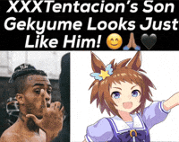 Umamusume GIF