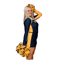 Cheer Cheerleader Sticker by WVU Tech Golden Bears