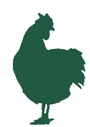 sicin-sasta giphyupload green chicken farm Sticker