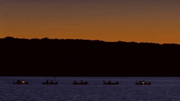 Wes Anderson Love GIF by Focus Features