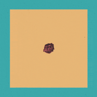 Joy Happiness GIF by antonio vicentini