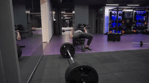setforset giphyupload GIF