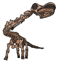 Happy Natural History Sticker by American Museum of Natural History