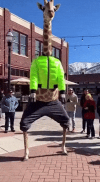 Dance Squatting GIF