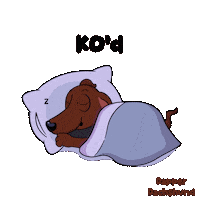 Good Night Sleeping Sticker by VeeFriends