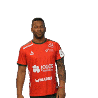 Letsgovamos Sticker by Federação de Andebol de Portugal