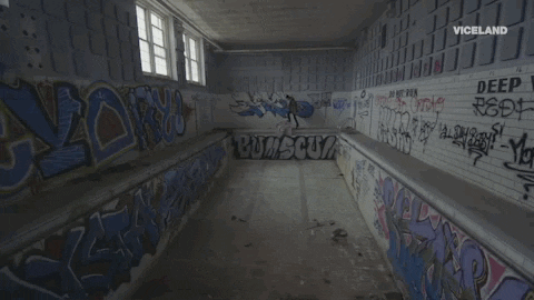 viceland GIF by ABANDONED