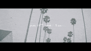 car crash GIF by GoldLink