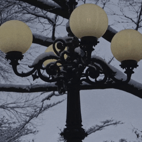 epiphyteproductions giphyupload happy holidays epiphyte productions GIF
