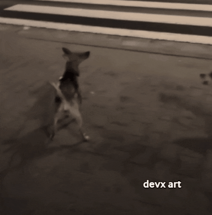 Dog Sidewalk GIF by DevX Art