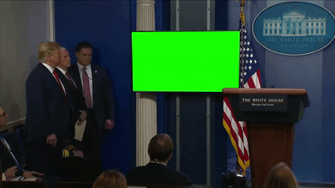 williamrennekamp giphygifmaker GIF