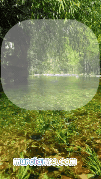 Amigos Buenos Dias GIF by Murcianys LLC