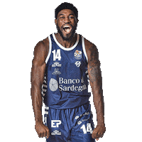 dinamo_sassari basketball basket dinamo lba Sticker