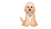 Cute Dog Sticker by zoopeez