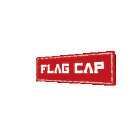 Sticker by FlagCap