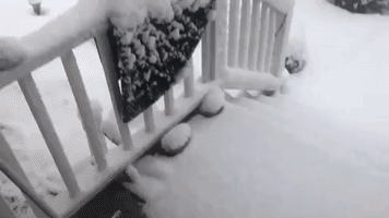 Snowstorm Turns Virginia Into Winter Wonderland