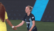 High Five New York GIF by National Women's Soccer League