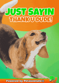 French Bulldog Thank You GIF by PetJuvenate - PJ