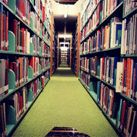 video art animation GIF by Ryan Seslow