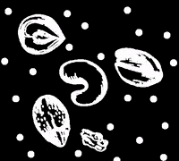 Odlicno nuts almond hazelnut cashew GIF