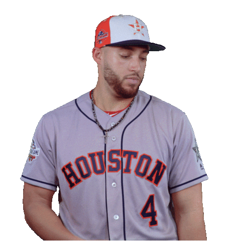 Houston Astros Brush Sticker by MLB